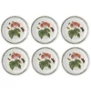 Portmeirion Botanic Garden Begonia Plate Set, 20cm Fashion