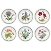 Portmeirion Botanic Garden 20cm Plates, Set of 6 Best