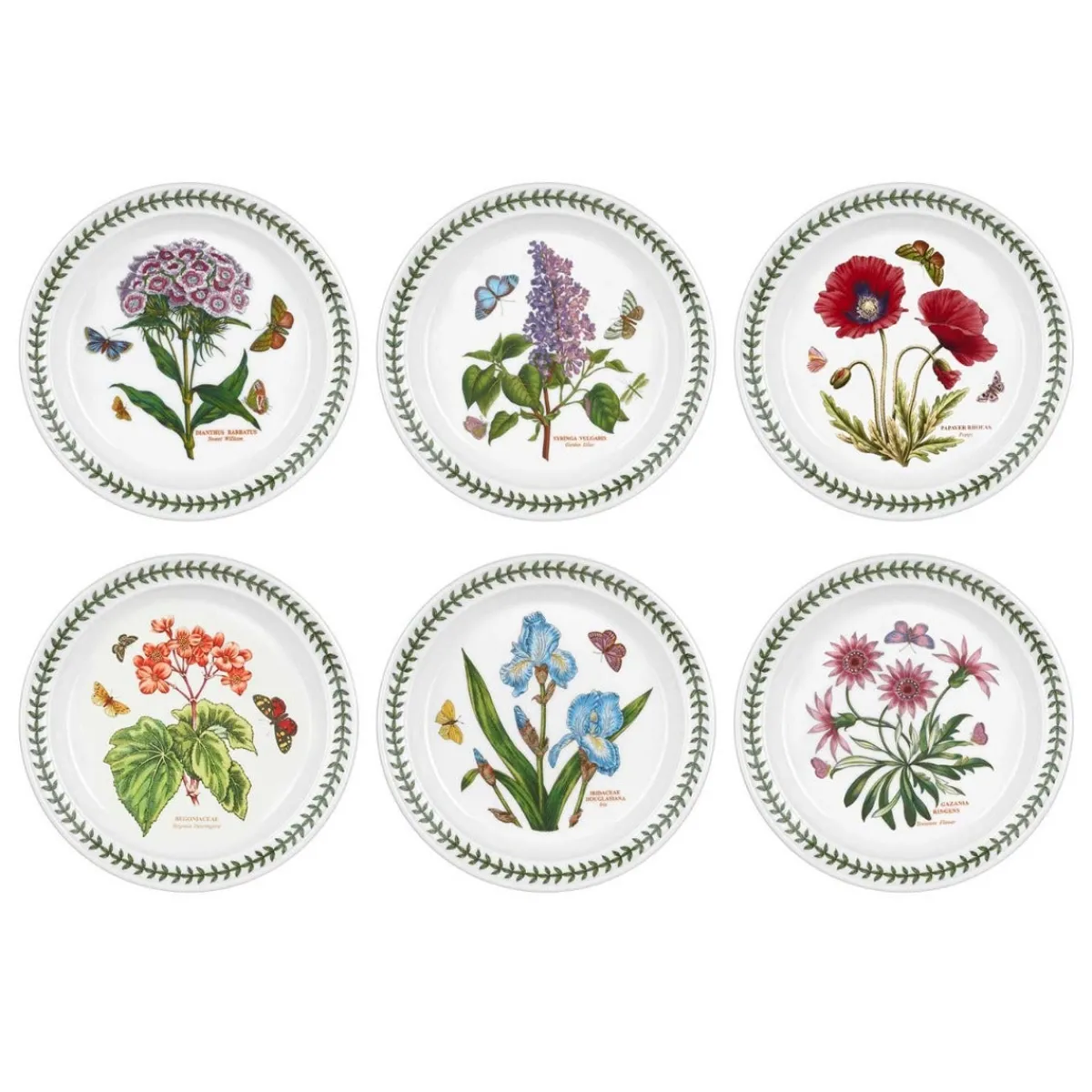 Portmeirion Botanic Garden 20cm Plates, Set of 6 Best