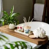 Botanic Garden Hydrangea Reed Diffuser Hot