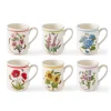 Portmeirion Botanic Garden Meadow Set of 6 Breakfast Mugs, Assorted Best