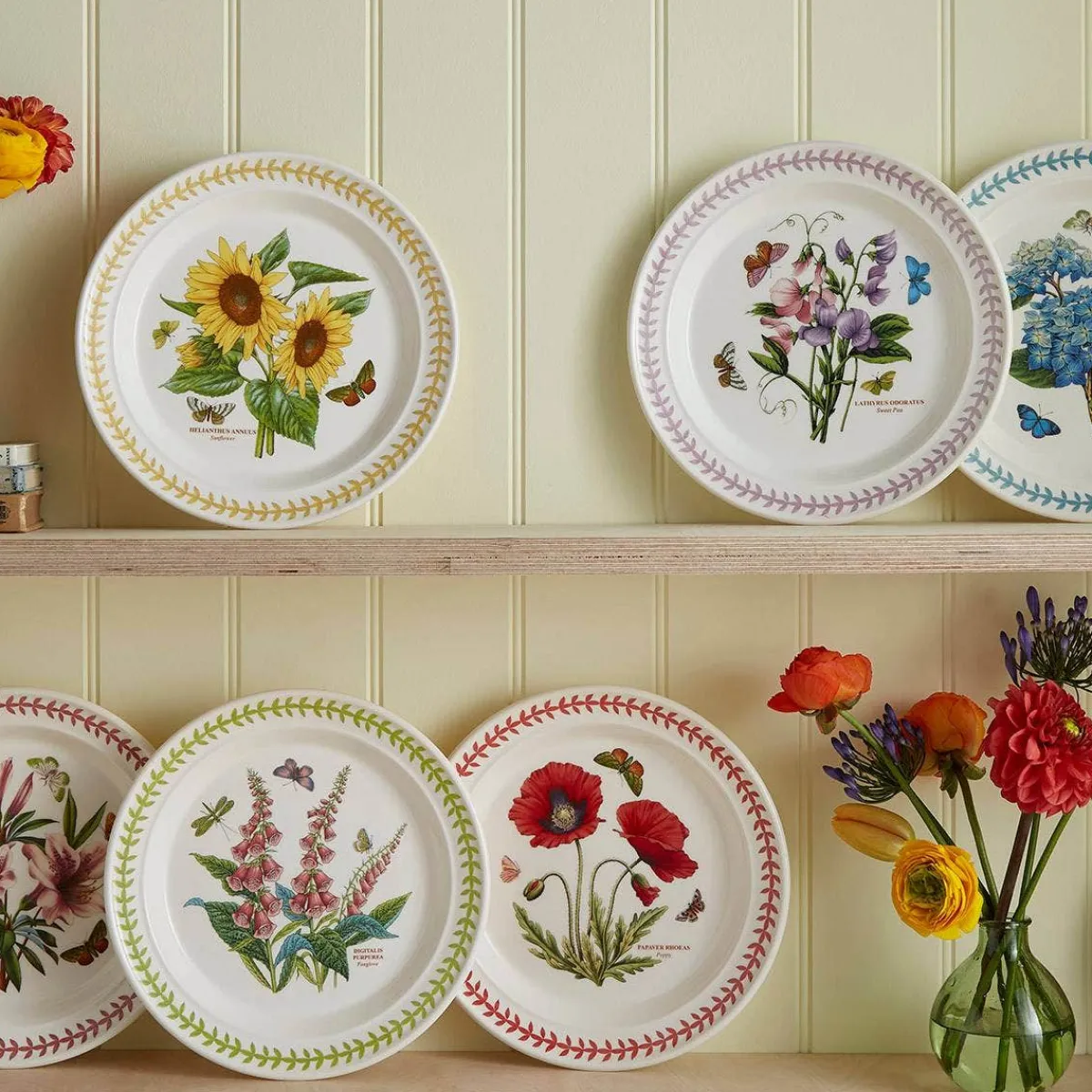 Portmeirion Botanic Garden Meadow Set of 6 Dinner Plates, Assorted Sale