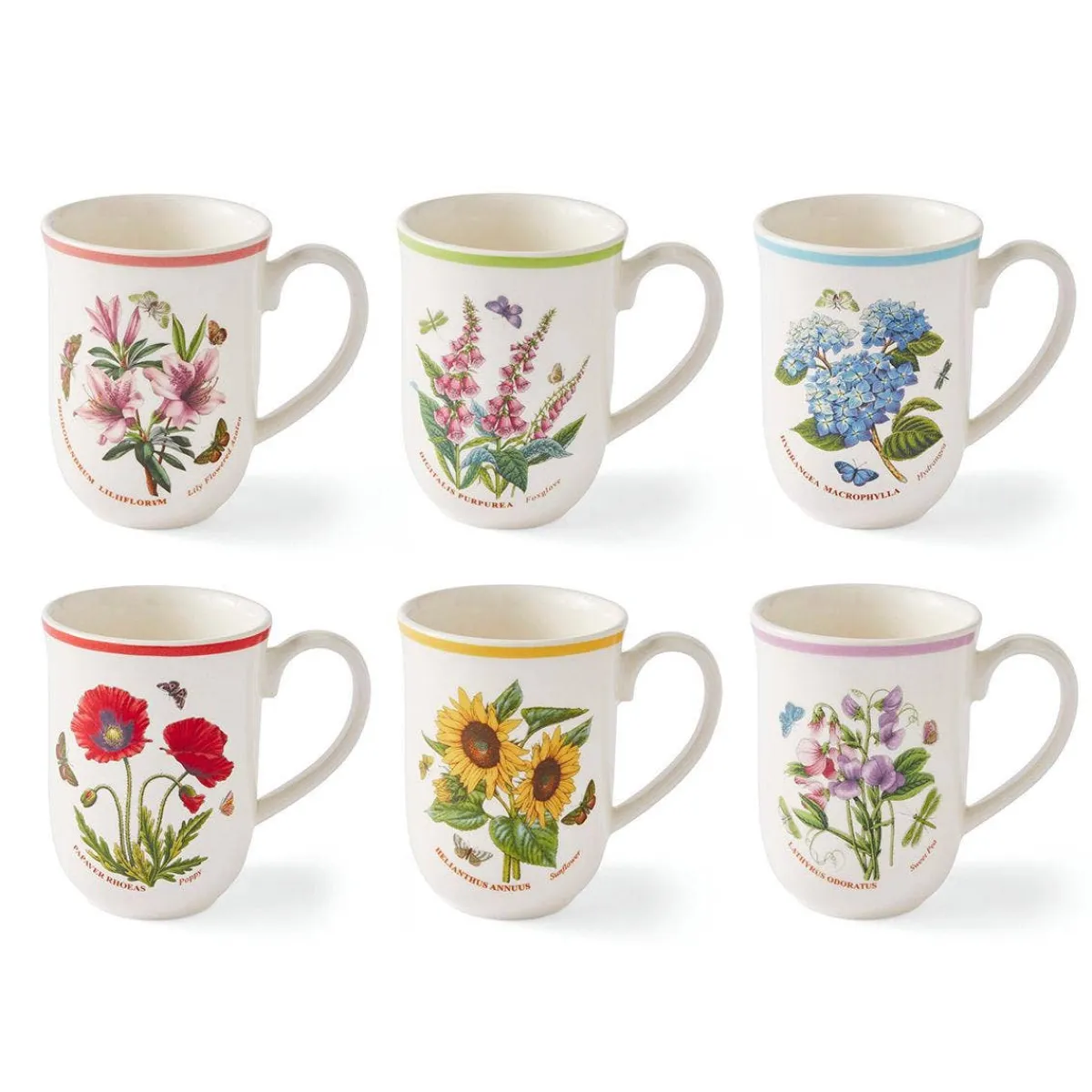 Portmeirion Botanic Garden Meadow Set of 6 Tulip Mugs, Assorted Online