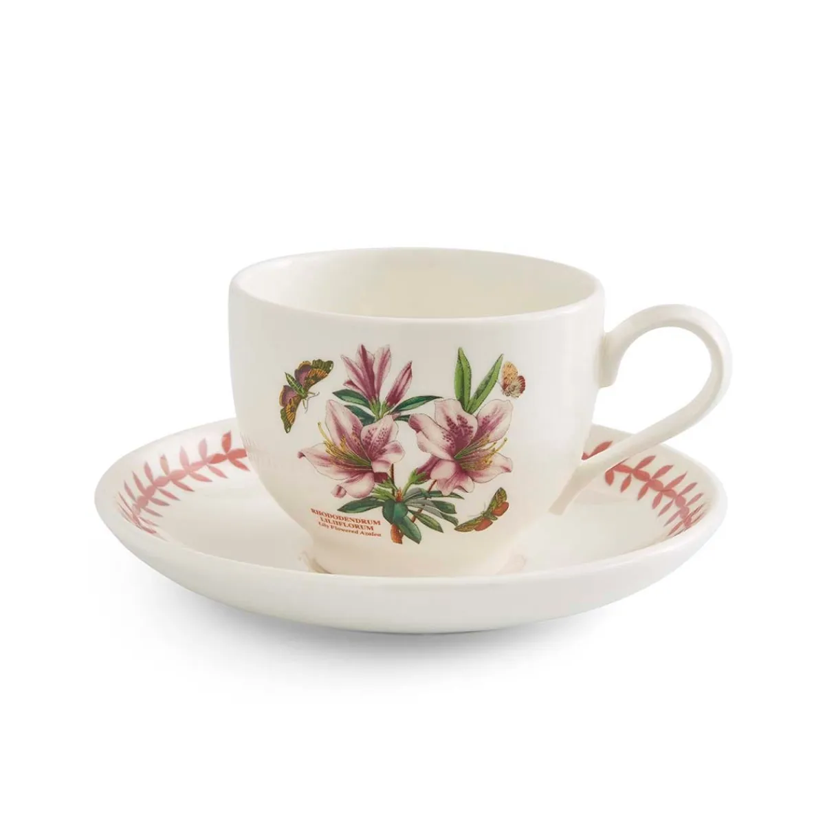 Portmeirion Botanic Garden Meadow Teacup & Saucer, Azalea Online