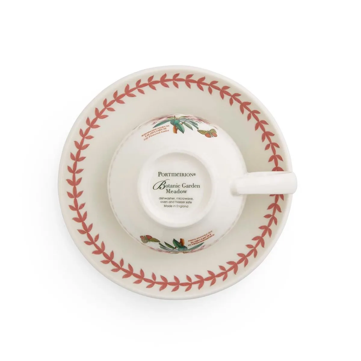 Portmeirion Botanic Garden Meadow Teacup & Saucer, Azalea Online