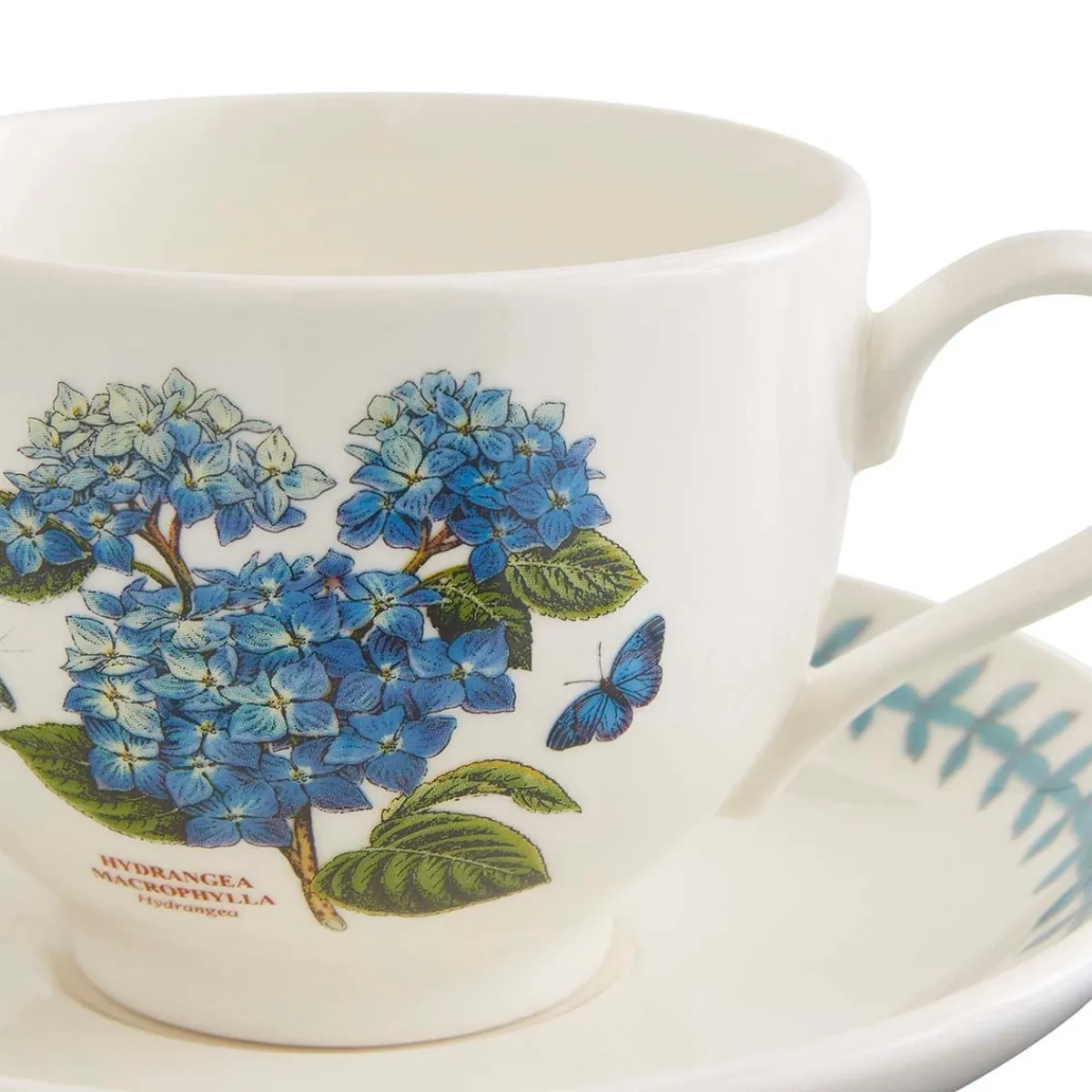 Portmeirion Botanic Garden Meadow Teacup & Saucer, Hydrangea New