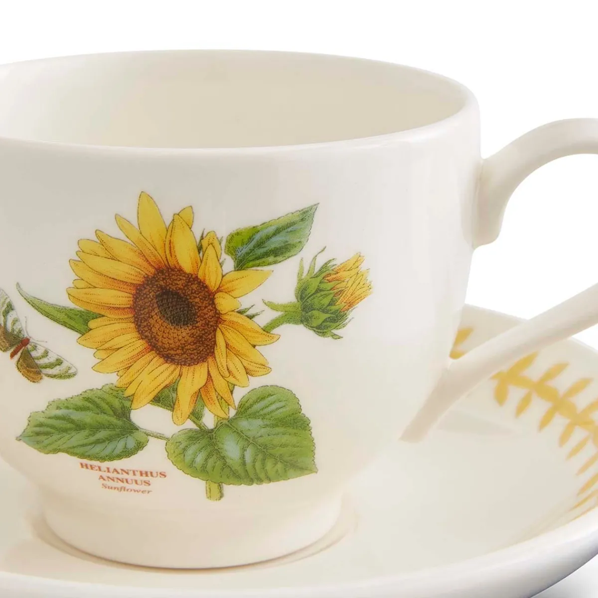 Portmeirion Botanic Garden Meadow Teacup & Saucer, Sunflower Clearance