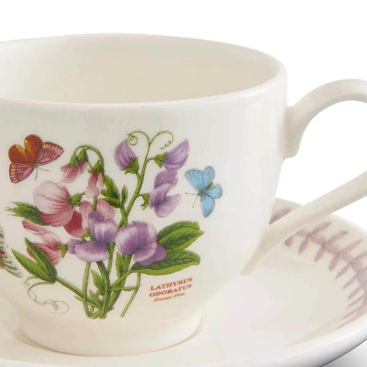 Portmeirion Botanic Garden Meadow Teacup & Saucer, Sweet Pea Sale