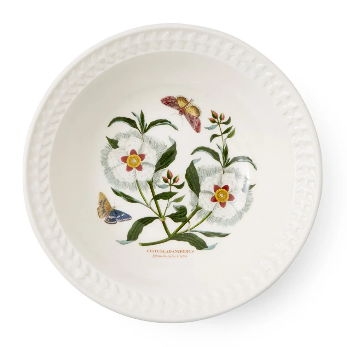 Portmeirion Botanic Garden Papilio Amethyst Pasta Bowl Clearance