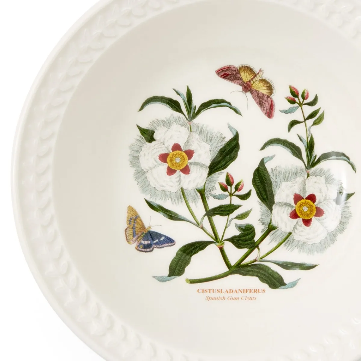 Portmeirion Botanic Garden Papilio Amethyst Pasta Bowl Clearance