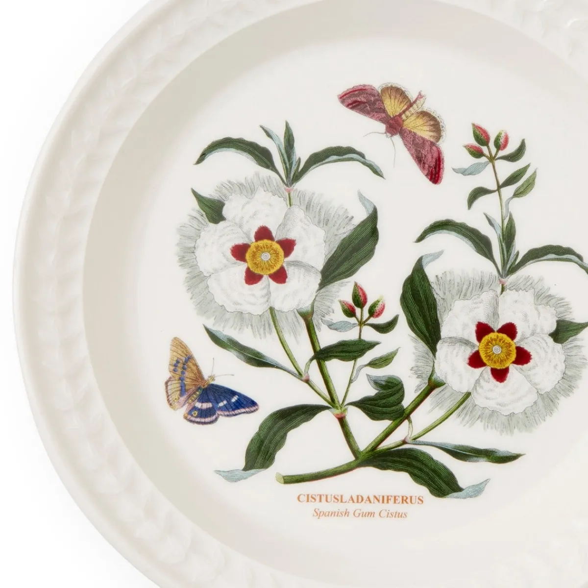 Portmeirion Botanic Garden Papilio Amethyst Side Plate Fashion