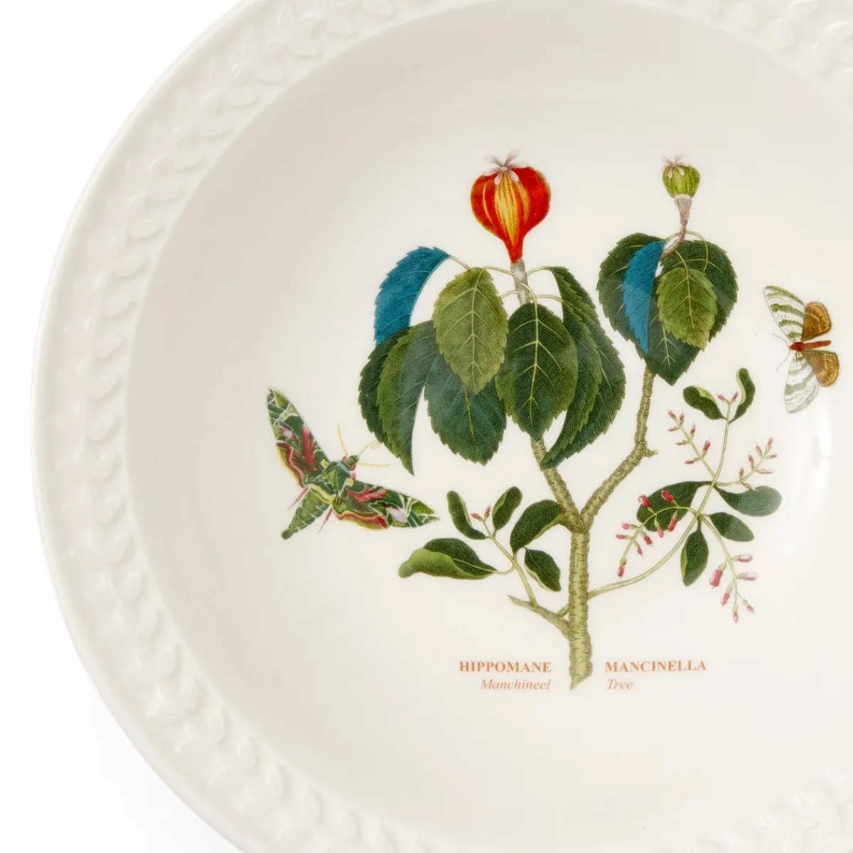 Portmeirion Botanic Garden Papilio Emerald Pasta Bowl Online