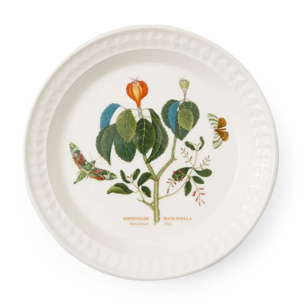 Portmeirion Botanic Garden Papilio Emerald Side Plate Outlet