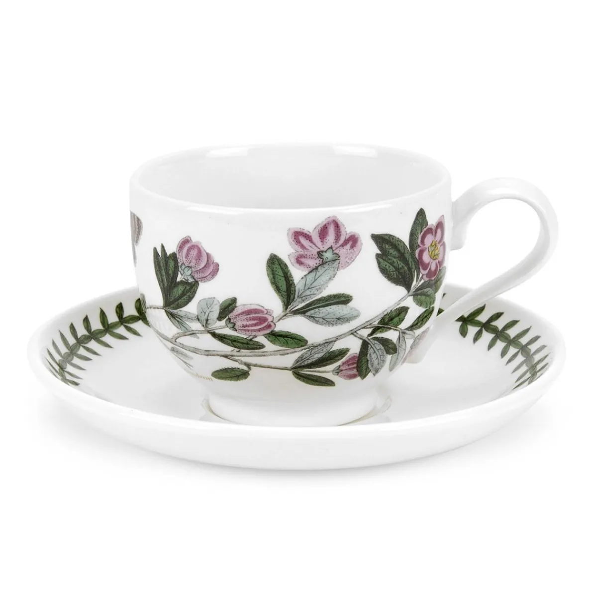 Portmeirion Botanic Garden Rhododendron Teacup & Saucer Fashion