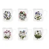 Portmeirion Botanic Garden Set of 6 Breakfast Mugs Sale