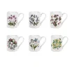 Portmeirion Botanic Garden Set of 6 Coffee Mugs Hot