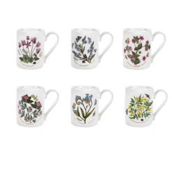 Portmeirion Botanic Garden Set of 6 Coffee Mugs Hot