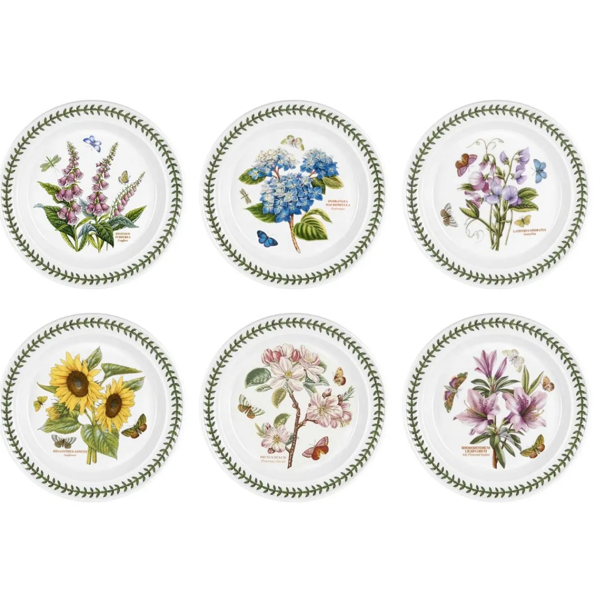 Portmeirion Botanic Garden Set of 6 Dinner Plates Best