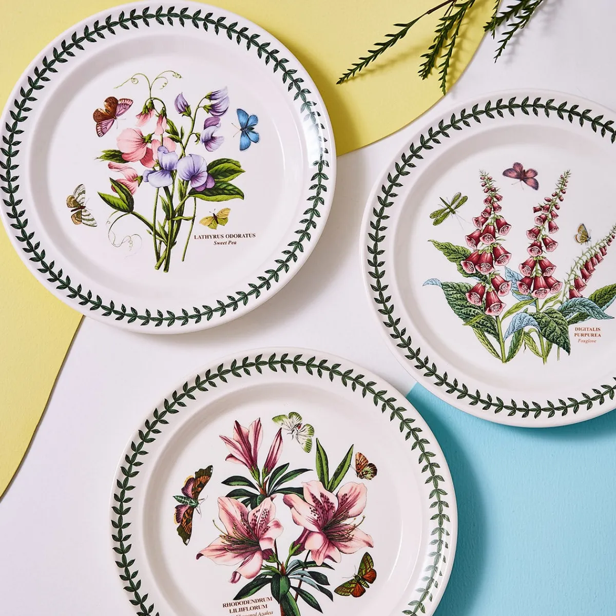Portmeirion Botanic Garden Set of 6 Dinner Plates Best