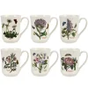 Portmeirion Botanic Garden Set of 6 Flared Tankard Mugs Fashion