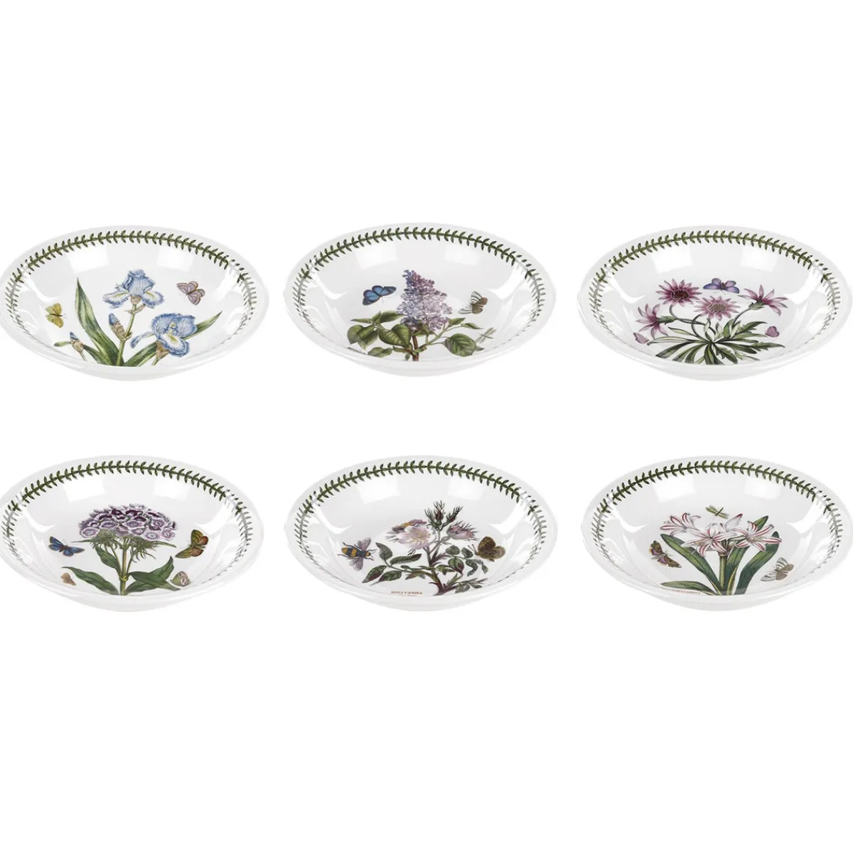 Portmeirion Botanic Garden Set of 6 Pasta Bowls Clearance