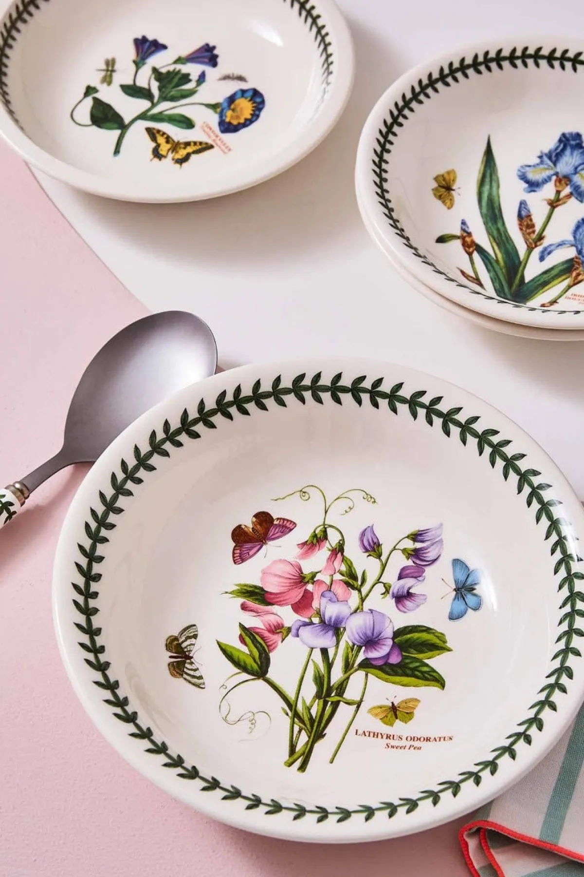 Portmeirion Botanic Garden Set of 6 Pasta Bowls Clearance