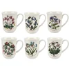 Portmeirion Botanic Garden Set of 6 Tulip Beaker Mugs Clearance