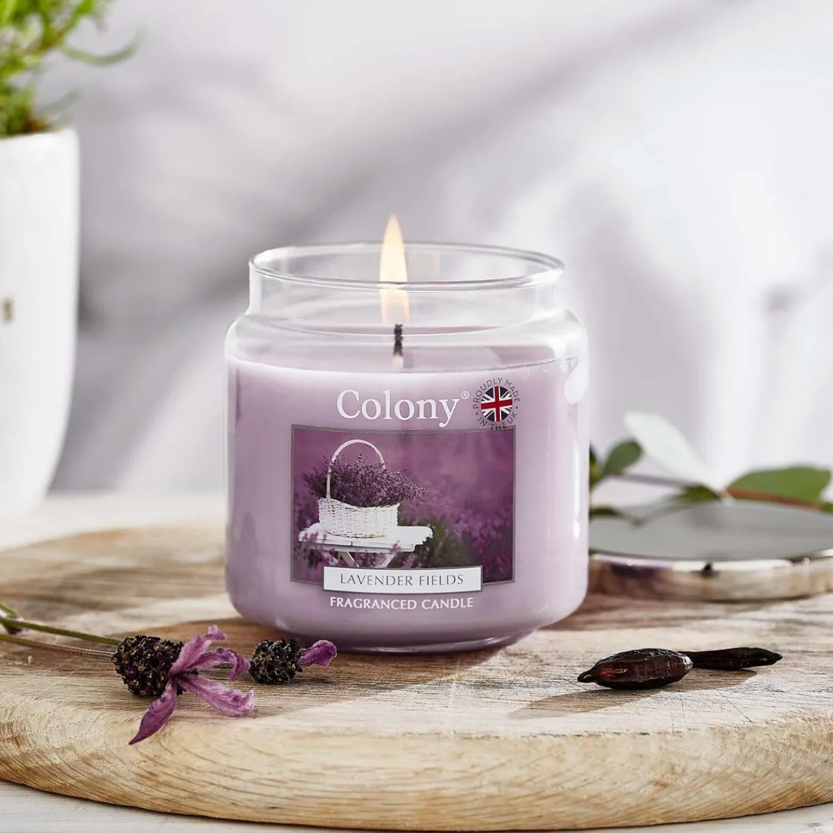 Colony Lavender Fields Medium Candle Clearance