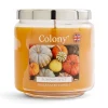 Colony Pumpkin Spice Medium Candle New