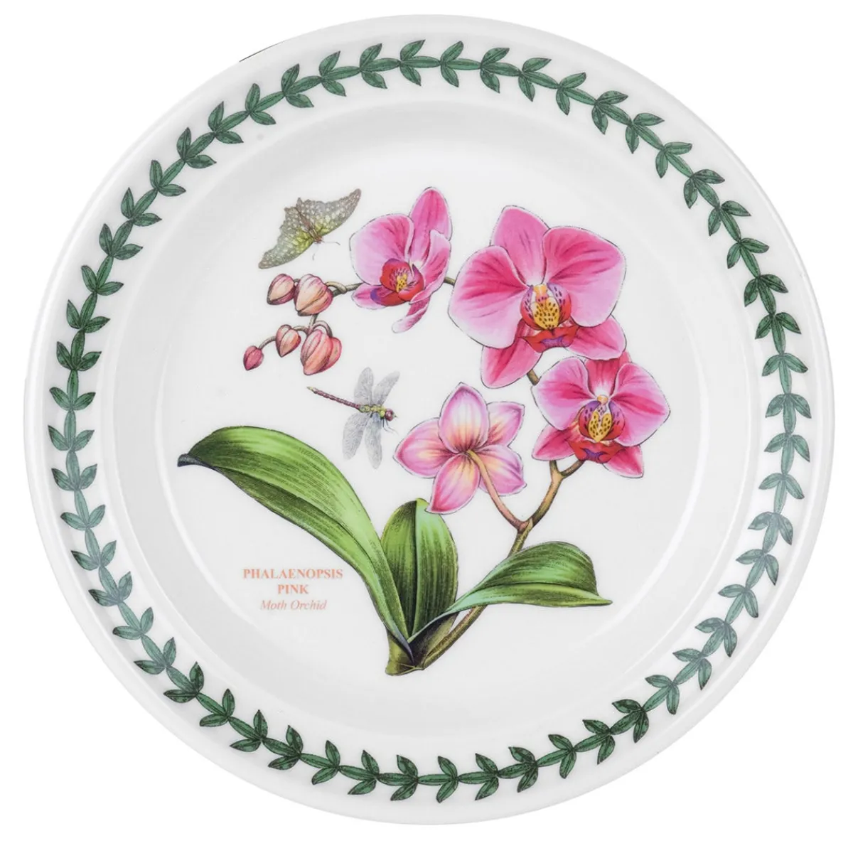 Portmeirion Exotic Botanic Garden Moth Orchid Side Plate Fashion