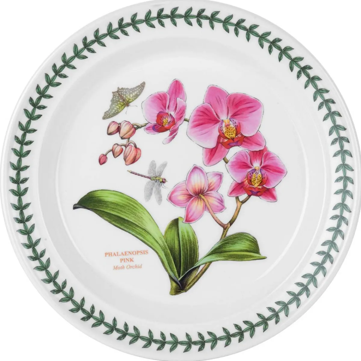 Portmeirion Exotic Botanic Garden Orchid Dinner Plate Discount