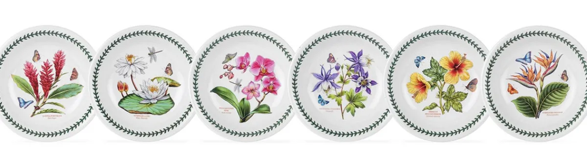 Portmeirion Exotic Botanic Garden Set of 6 Pasta Bowls Best