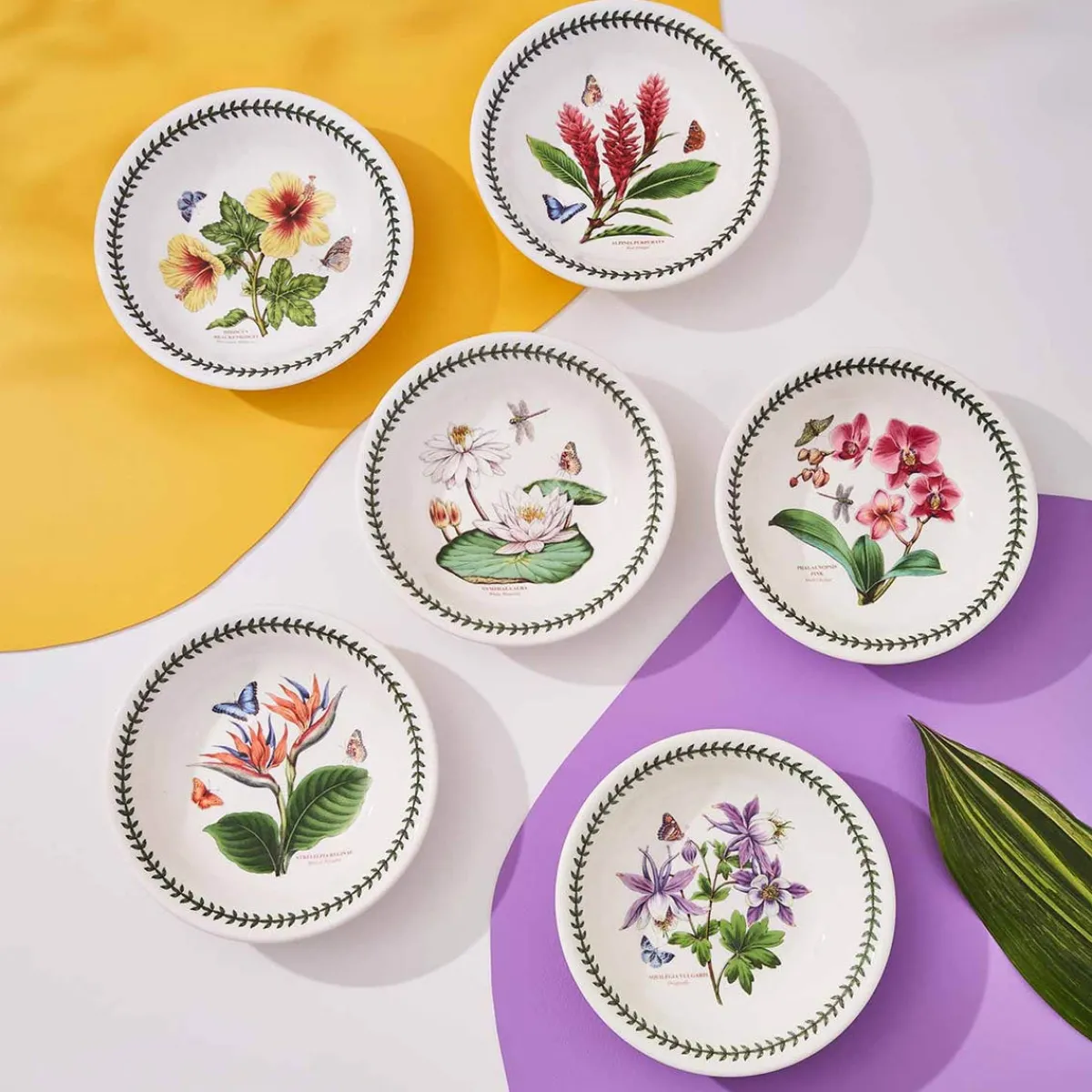 Portmeirion Exotic Botanic Garden Set of 6 Pasta Bowls Best