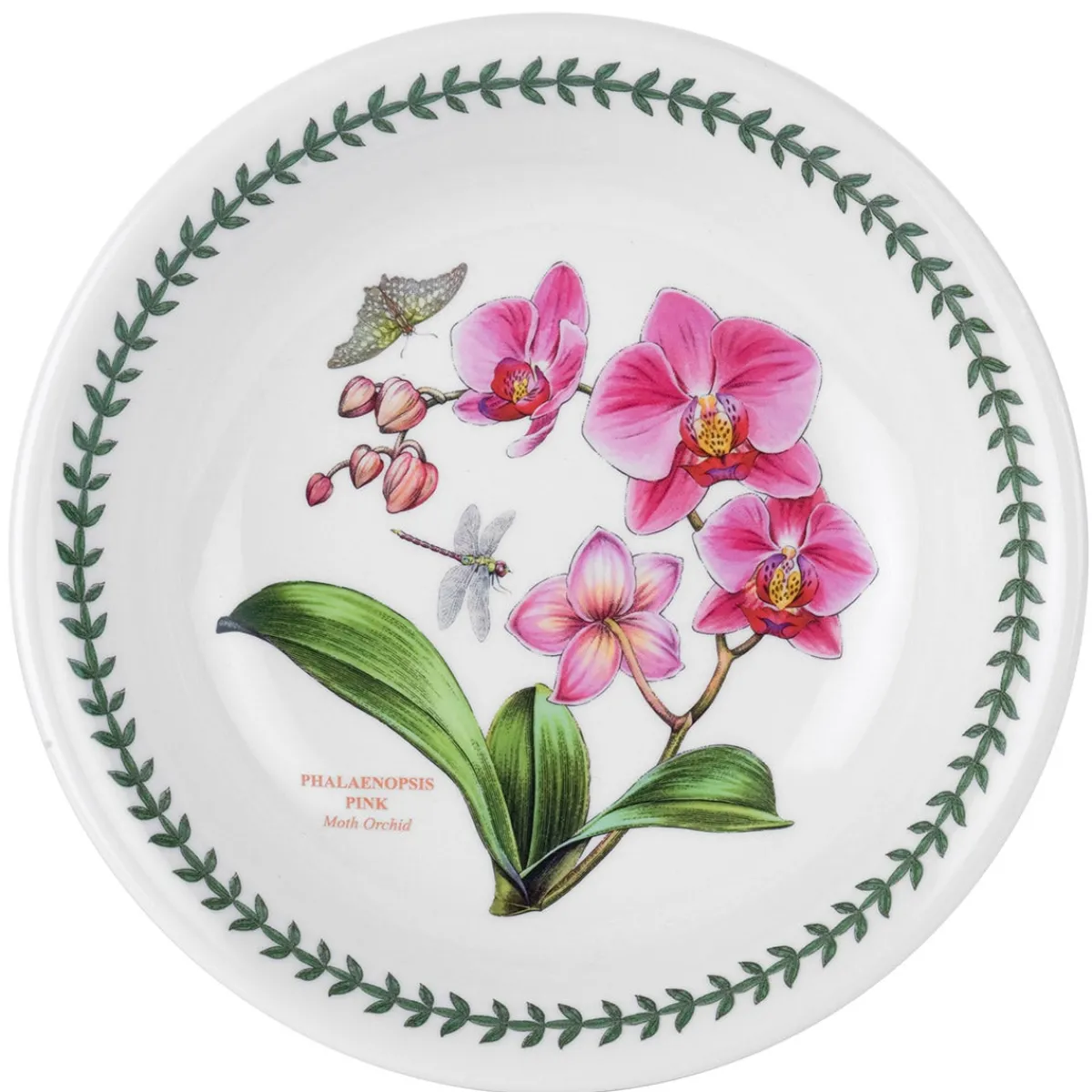 Portmeirion Exotic Botanic Garden Set of 6 Pasta Bowls Best