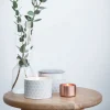 Fired Earth Oolong & Stem Ginger Small Candle Fashion