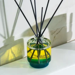 JustBe Botanicals Reed Diffuser - Active Clearance