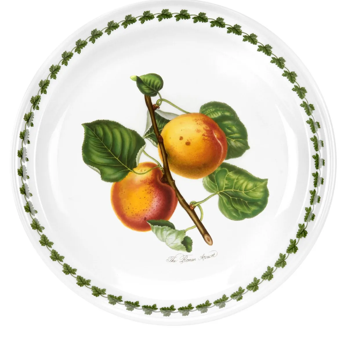 Portmeirion Pomona Set of 6 Dinner Plates Best