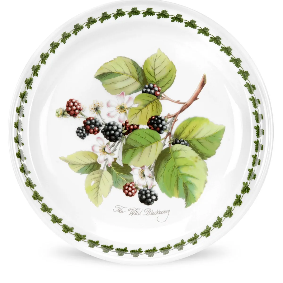 Portmeirion Pomona Set of 6 Dinner Plates Best