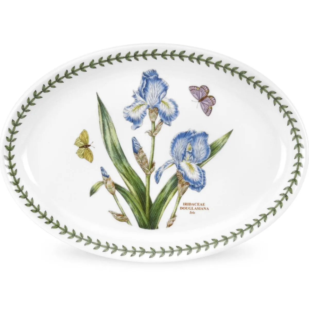Portmeirion Botanic Garden Oval Platter 11 Inch Set of 6 Hot