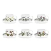 Portmeirion Botanic Garden Tea Cup and Saucer (D) Set of 6 New