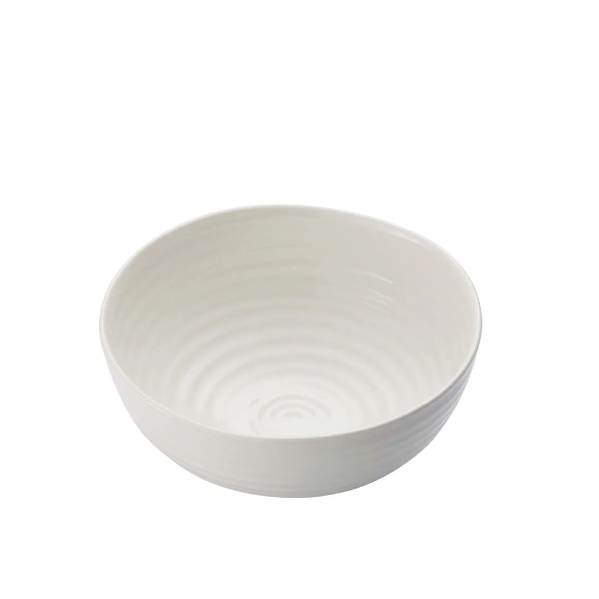 Portmeirion Sophie Conran Set of 4 Noodle Bowls Online