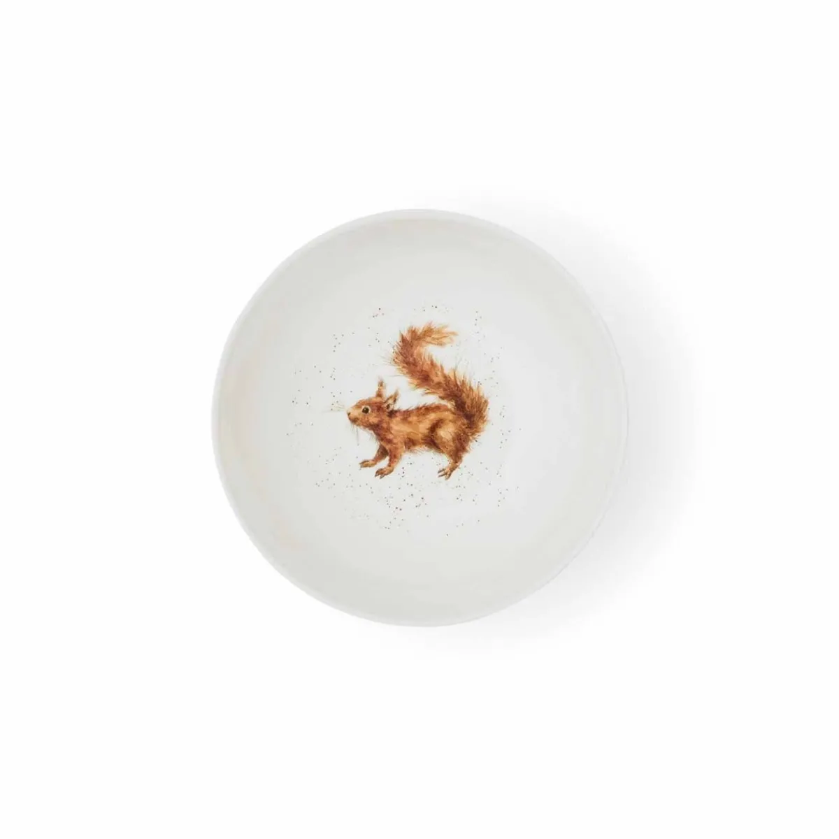 Royal Worcester Wrendale Designs Squirrel Set of 4 Bowls Hot