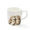 Royal Worcester Wrendale Designs The Twits Owls Large Mug New