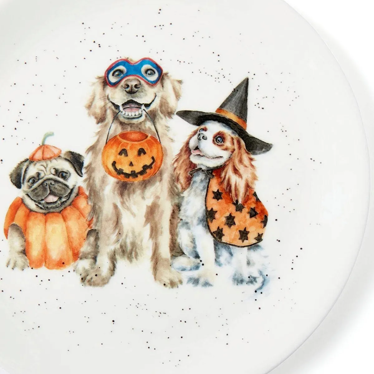 Royal Worcester Wrendale Designs Trick or Treat Coupe Plate Fashion