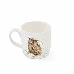 Royal Worcester Wrendale Designs What a Hoot Owl Mug New