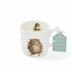 Royal Worcester Wrendale Designs What a Hoot Owl Mug New