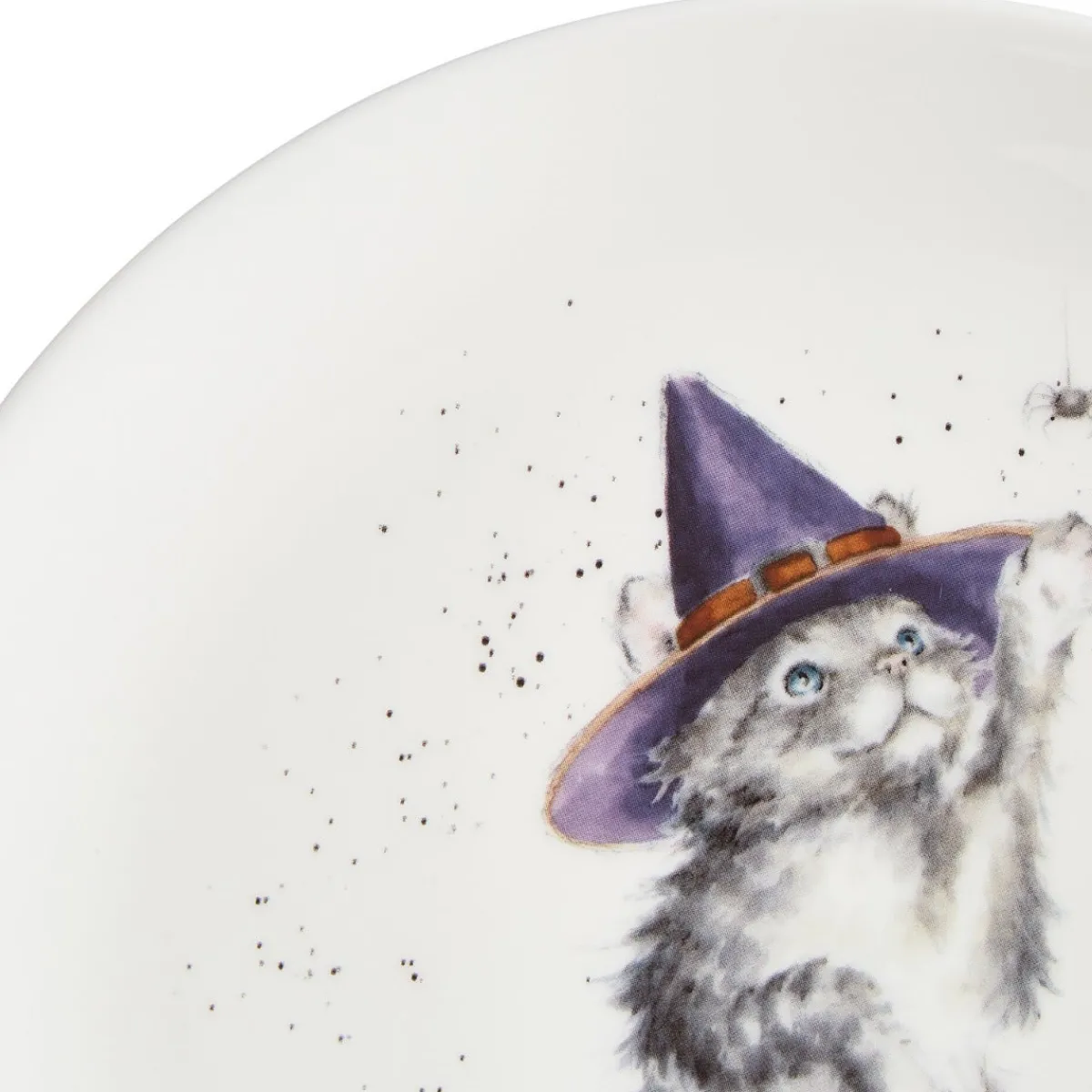 Royal Worcester Wrendale Designs Witches Cat Coupe Plate Best
